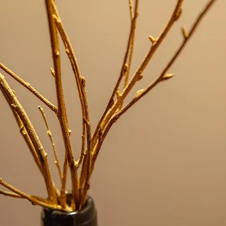 Concejo Hospederia ホテル Valoria la Buena