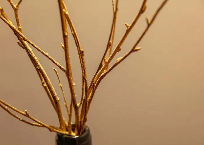 Concejo Hospederia Hotel Valoria la Buena